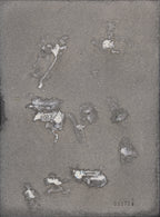 日々 ♯032725