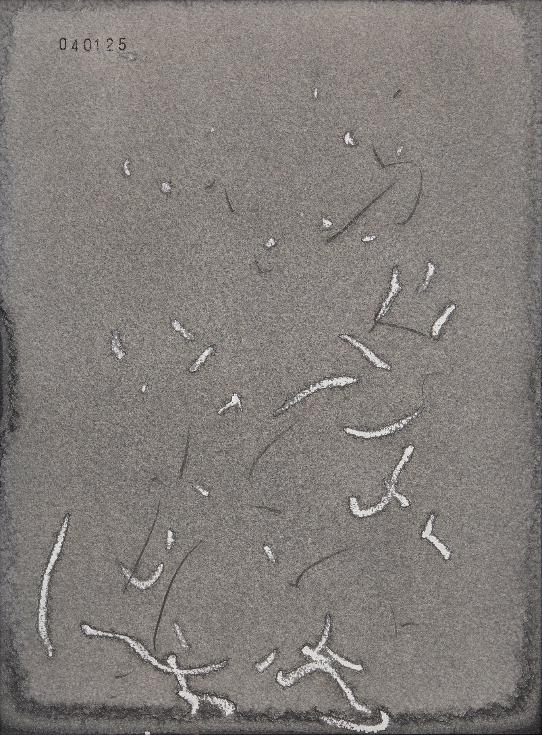 日々 ♯040125