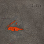 日々 ♯061925
